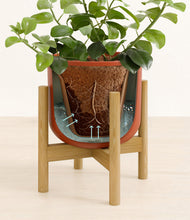 Load image into Gallery viewer, Earth Red stand:bamboo
