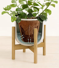 Load image into Gallery viewer, Natural Bamboo stand:bamboo