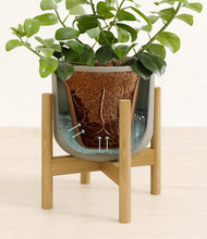 Load image into Gallery viewer, Sage Green stand:bamboo