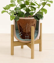 Load image into Gallery viewer, Sandy Pink stand:bamboo