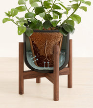 Load image into Gallery viewer, Stone Black stand:walnut