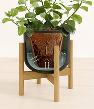 Load image into Gallery viewer, Stone Black stand:bamboo