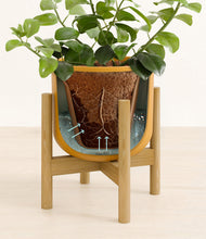 Load image into Gallery viewer, Sunset Orange stand:bamboo