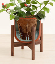 Load image into Gallery viewer, -