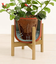 Load image into Gallery viewer, -