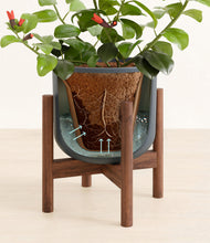 Load image into Gallery viewer, -