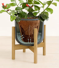 Load image into Gallery viewer, -