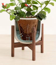 Load image into Gallery viewer, -