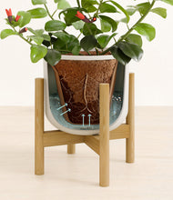 Load image into Gallery viewer, -