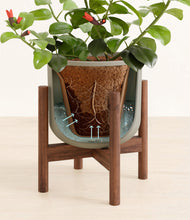 Load image into Gallery viewer, -