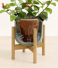 Load image into Gallery viewer, -