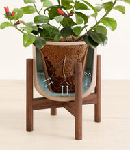 Load image into Gallery viewer, -