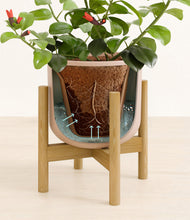 Load image into Gallery viewer, -