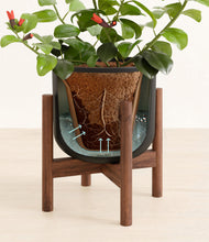 Load image into Gallery viewer, -