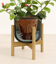 Load image into Gallery viewer, -