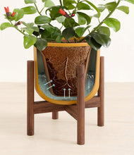 Load image into Gallery viewer, -