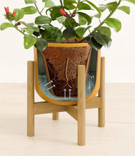 Load image into Gallery viewer, -