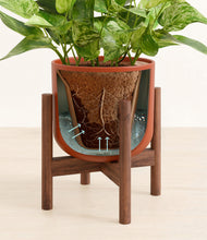 Load image into Gallery viewer, Earth Red stand:walnut