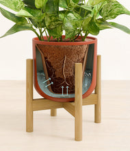 Load image into Gallery viewer, Earth Red stand:bamboo