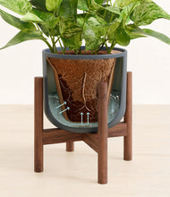 Load image into Gallery viewer, Iron Gray stand:walnut