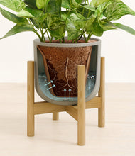 Load image into Gallery viewer, Sage Green stand:bamboo