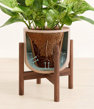 Load image into Gallery viewer, Sandy Pink stand:walnut