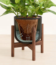 Load image into Gallery viewer, Stone Black stand:walnut