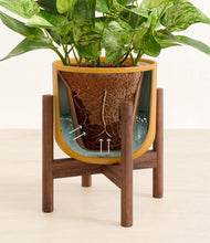 Load image into Gallery viewer, Sunset Orange stand:walnut