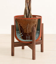 Load image into Gallery viewer, Earth Red stand:walnut