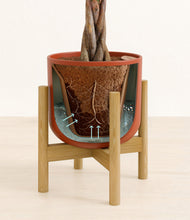 Load image into Gallery viewer, Earth Red stand:bamboo