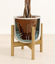 Load image into Gallery viewer, Natural Bamboo stand:bamboo