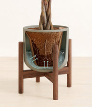 Load image into Gallery viewer, Sage Green stand:walnut