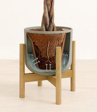 Load image into Gallery viewer, Sage Green stand:bamboo