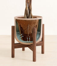 Load image into Gallery viewer, Sandy Pink stand:walnut