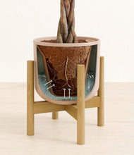 Load image into Gallery viewer, Sandy Pink stand:bamboo