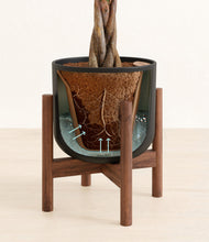Load image into Gallery viewer, Stone Black stand:walnut