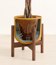 Load image into Gallery viewer, Sunset Orange stand:walnut