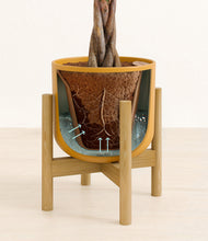 Load image into Gallery viewer, Sunset Orange stand:bamboo