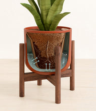 Load image into Gallery viewer, Earth Red stand:walnut