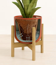 Load image into Gallery viewer, Earth Red stand:bamboo