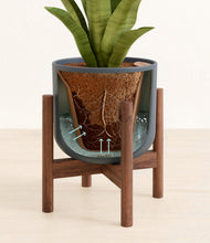 Load image into Gallery viewer, Iron Gray stand:walnut