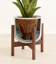 Load image into Gallery viewer, Natural Bamboo stand:walnut
