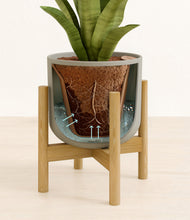 Load image into Gallery viewer, Sage Green stand:bamboo