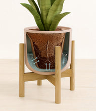 Load image into Gallery viewer, Sandy Pink stand:bamboo