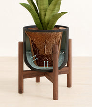 Load image into Gallery viewer, Stone Black stand:walnut