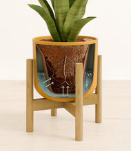 Load image into Gallery viewer, Sunset Orange stand:bamboo