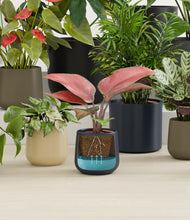 Load image into Gallery viewer, Winding River stand:all