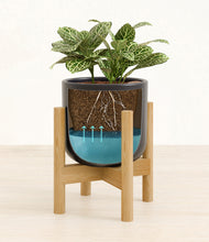 Load image into Gallery viewer, Stone Black stand:bamboo