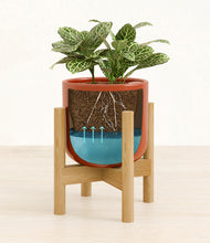 Load image into Gallery viewer, Glossy Red stand:bamboo