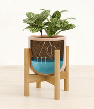 Load image into Gallery viewer, Glossy Pink stand:bamboo